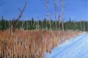 Beckwith Marsh