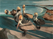 Pelicans