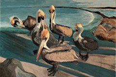 Pelicans