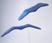 blue-birds