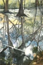 Reflection