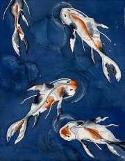 Koi Fish