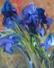 Purple Iris