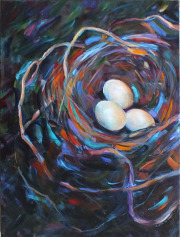 Nocturnal Nest