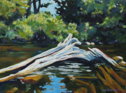 River's Edge