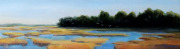 Salt Marsh