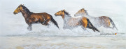 In the Surf