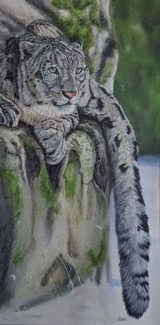 Ready to Pounce