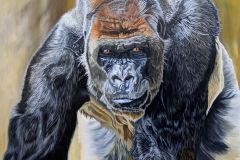 The Guardian