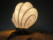 Coquille