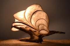 Wind Currents