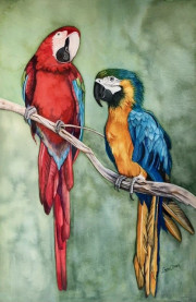 Feathered Friends