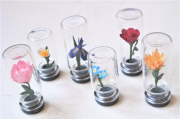 Mini Jars