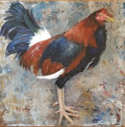 Cockerel