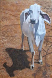 Brahmin