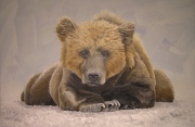Bear Pose