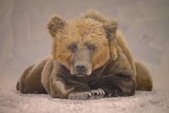 Bear Pose