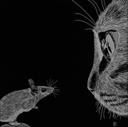 Cat and Mouse