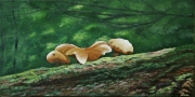 Mushrooms