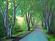 Plane Trees