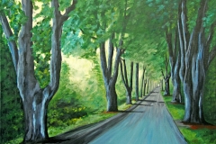 Plane Trees