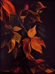 Autumn Beauty